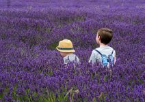 Sensorische stimulatie en vroege hersengroei